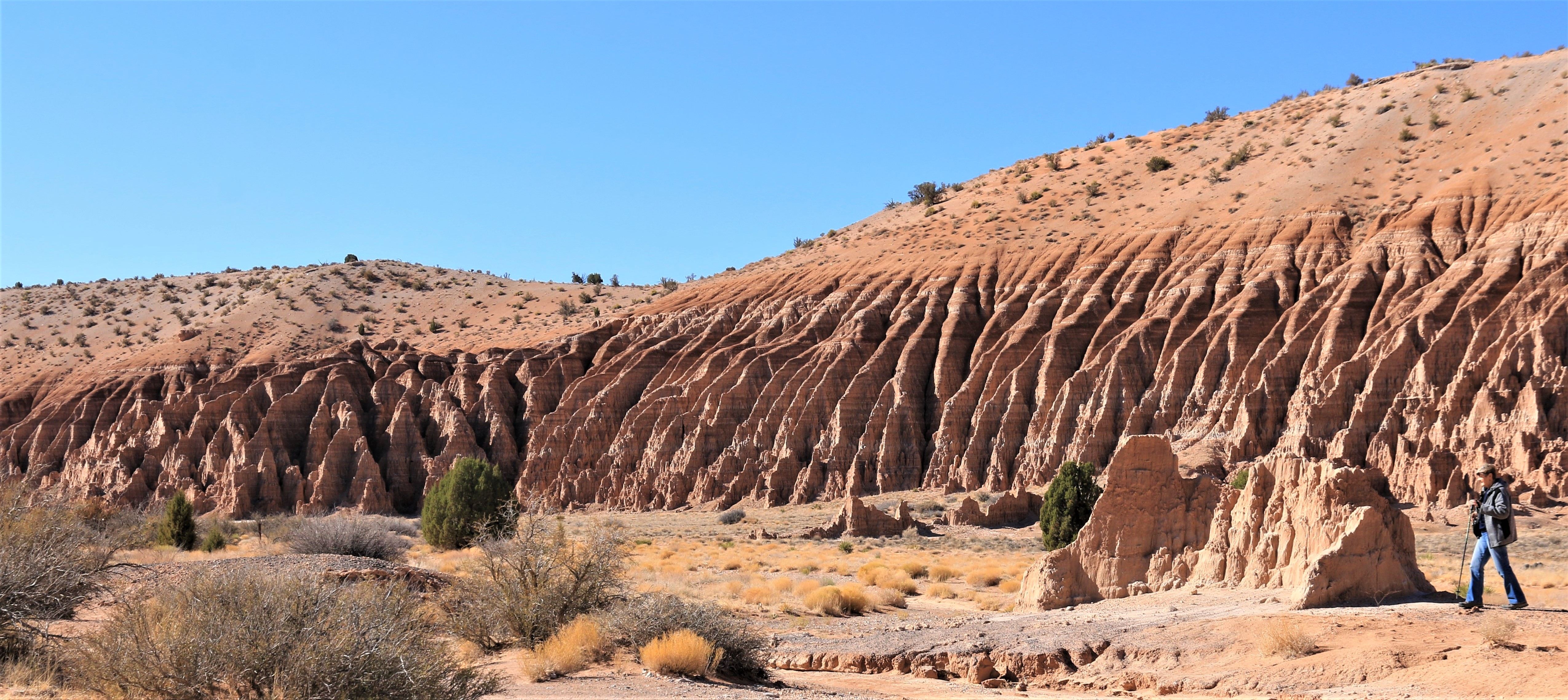 Nevada